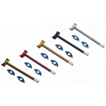 Guide Rod Set pour AAP-01 JASPE (Rainbow) 