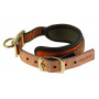 Niggeloh Collier Chien de Sang Orange Fluo